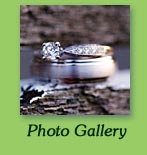 Photo Gallery